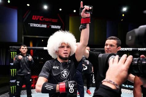 umar nurmagomedov next fight|More.